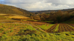 Cinq balades dans le Rhône pour cet été
