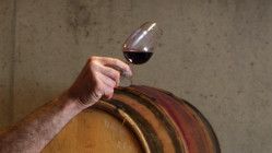 Direction le Salon des Vignerons Ind&eacute;pendants de Lyon