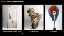 Le musée des Confluences de Lyon met ses trésors à portée de clic