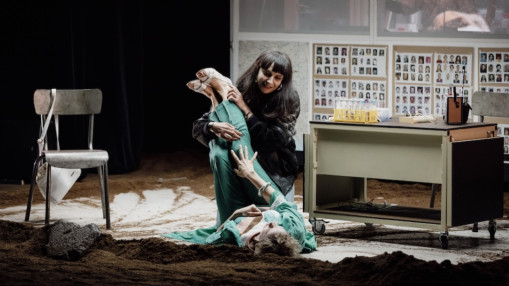 Neandertal au Th&eacute;&acirc;tre des C&eacute;lestins : La nuit des temps