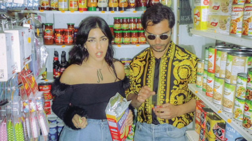 Lilly Wood and The Prick &agrave; Villeurbanne : le retour &agrave; la pop &agrave; vif