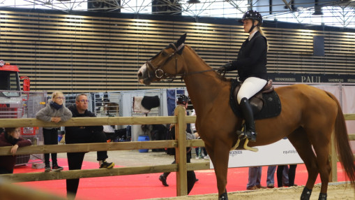 Equita Lyon 2026 : 3500 chevaux, spectacles et compétitions internationales attendus à Eurexpo Equita Lyon 2026 : 3500 chevaux, spectacles et compétitions internationales attendus à Eurexpo
