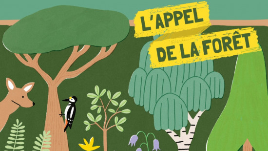 Lyon : l'Automne des Gones de retour dans les biblioth&egrave;ques !