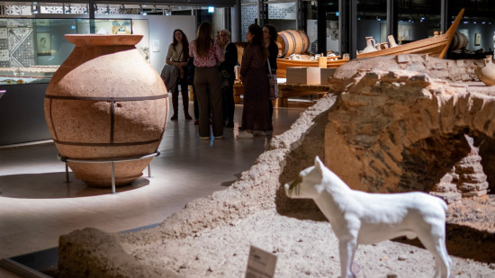 Faute de moyens, le projet de modernisation du musée gallo-romain de Saint-Romain-en-Gal remis en cause Faute de moyens, le projet de modernisation du musée gallo-romain de Saint-Romain-en-Gal remis en cause