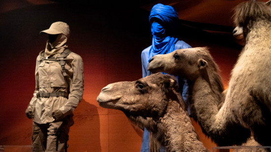 Exposition Trop Forts ! au musée des Confluences : un voyage dans les milieux extrêmes de la Terre Exposition Trop Forts ! au musée des Confluences : un voyage dans les milieux extrêmes de la Terre