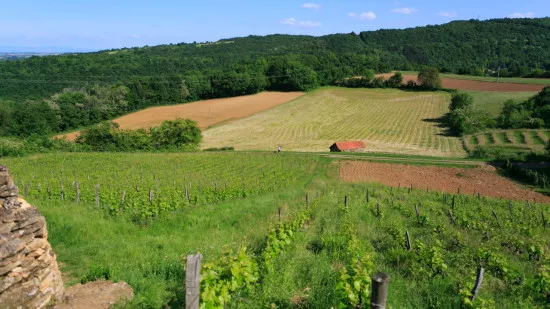 Cinq balades dans la Métropole de Lyon pour cet été
