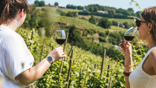 &Agrave; Vienne Condrieu, l&rsquo;automne s&rsquo;annonce riche entre vignobles, gastronomie et patrimoine